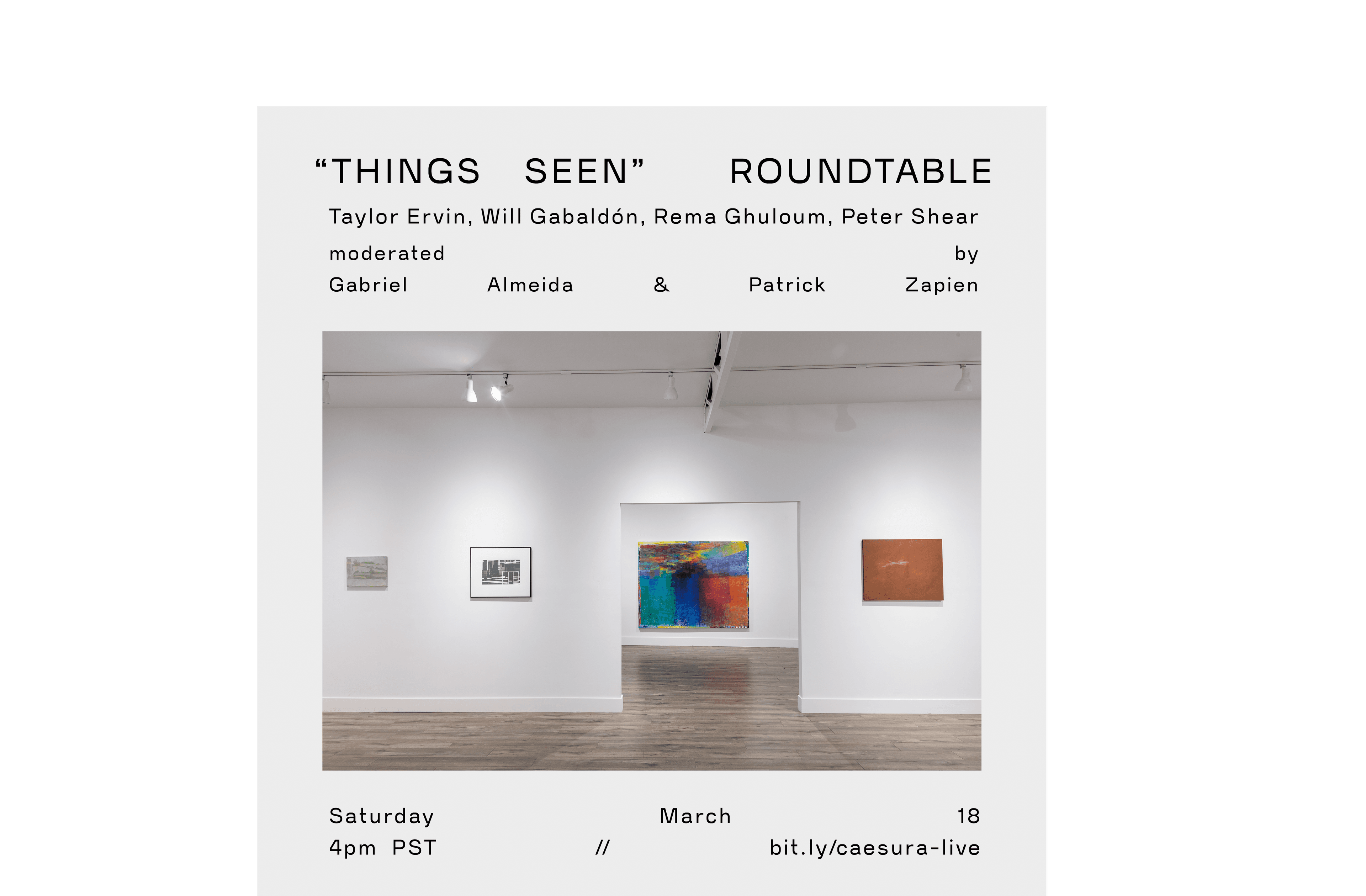 "Things Seen" Virtual Roundtable
