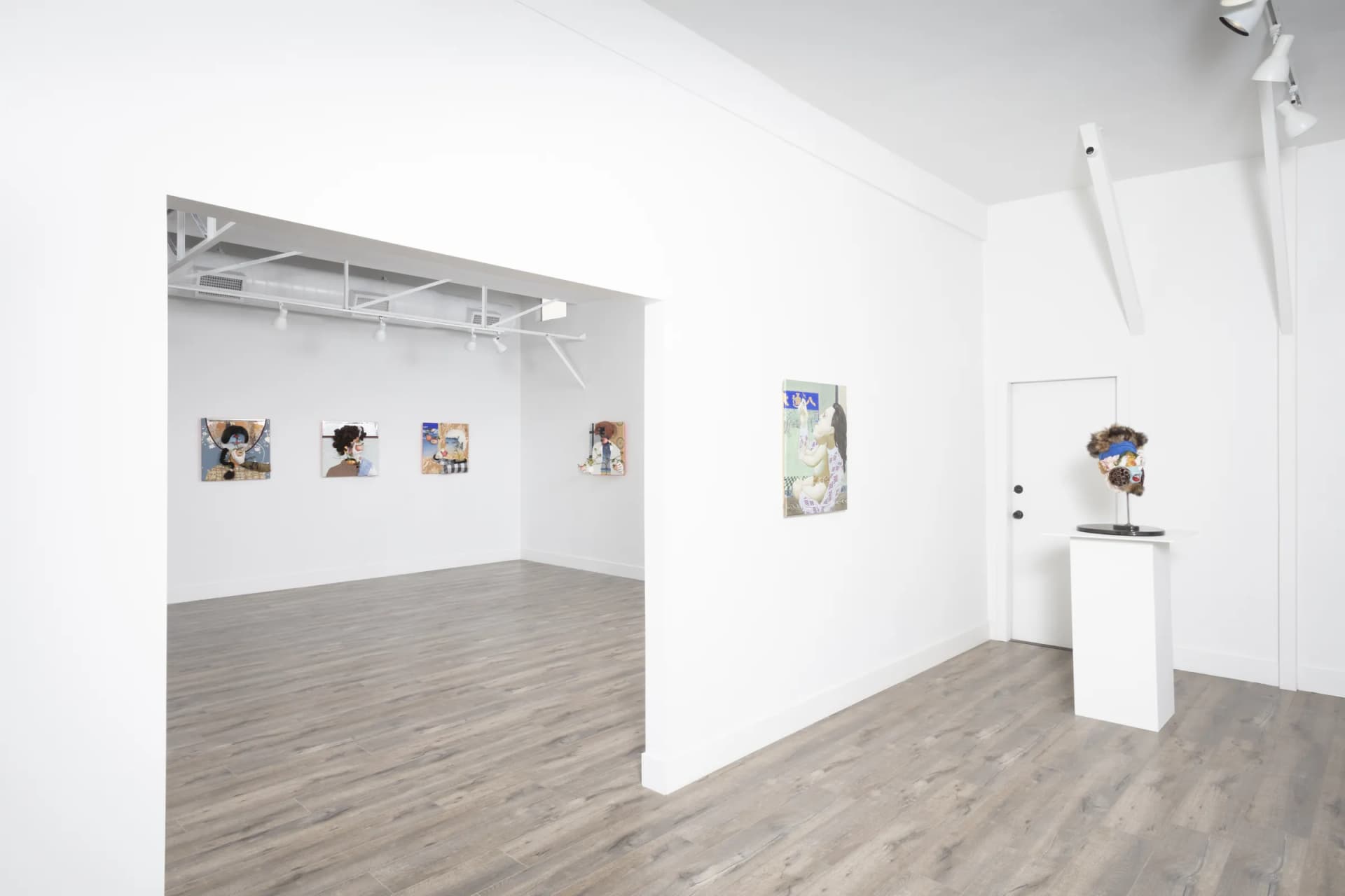 Installation View: Miguel Angel Payano Jr: Elusive NaturePhoto By Josh Schaedel