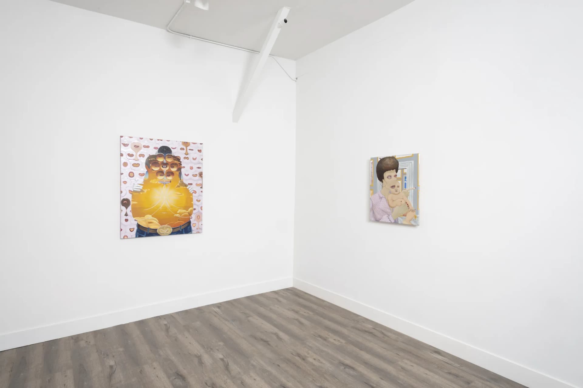 Installation View: Miguel Angel Payano Jr: Elusive NaturePhoto By Josh Schaedel