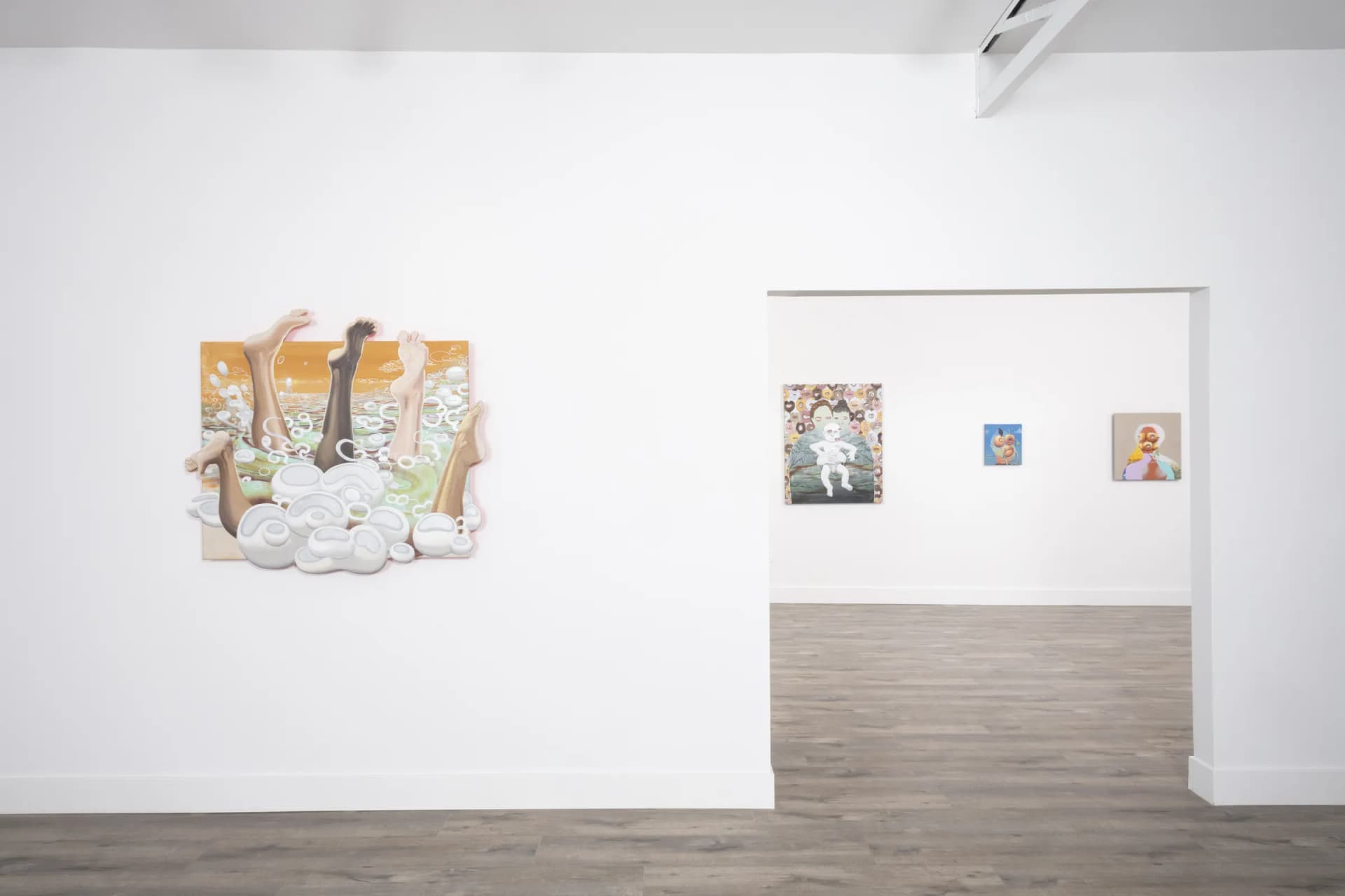 Installation View: Miguel Angel Payano Jr: Elusive NaturePhoto By Josh Schaedel
