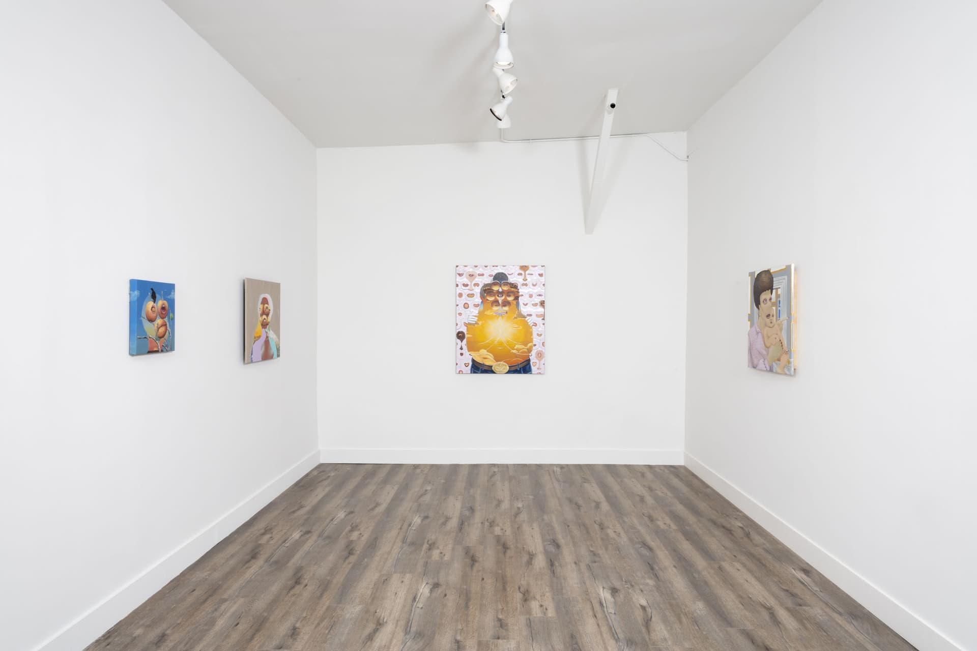 Installation View: Miguel Angel Payano Jr: Elusive NaturePhoto By Josh Schaedel