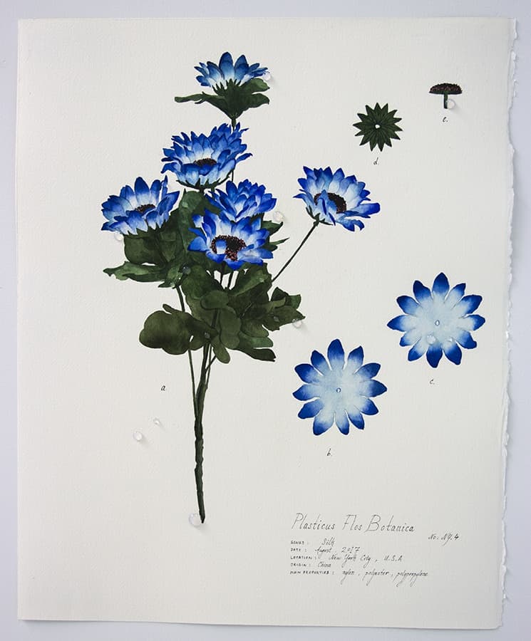 Magdalen Wong, Magdalen Wong, Plasticus Flos Botanica