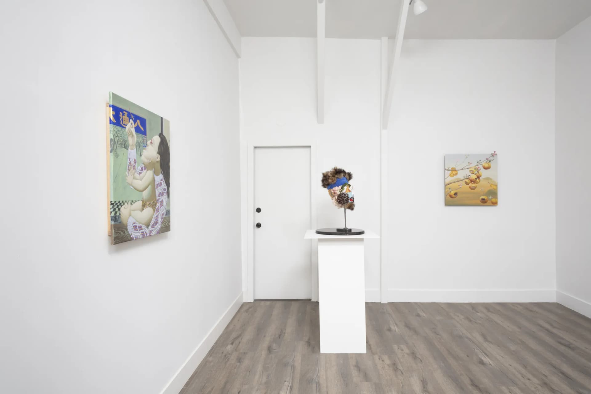 Installation View: Miguel Angel Payano Jr: Elusive NaturePhoto By Josh Schaedel
