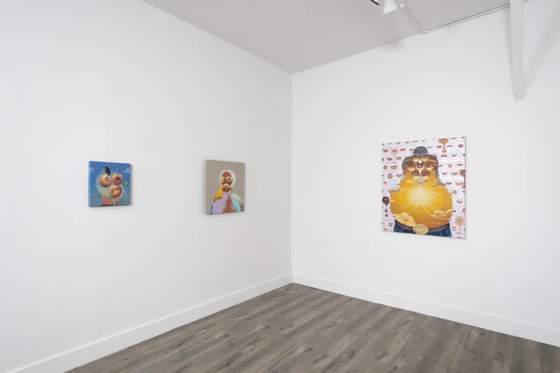 Installation View: Miguel Angel Payano Jr: Elusive NaturePhoto By Josh Schaedel
