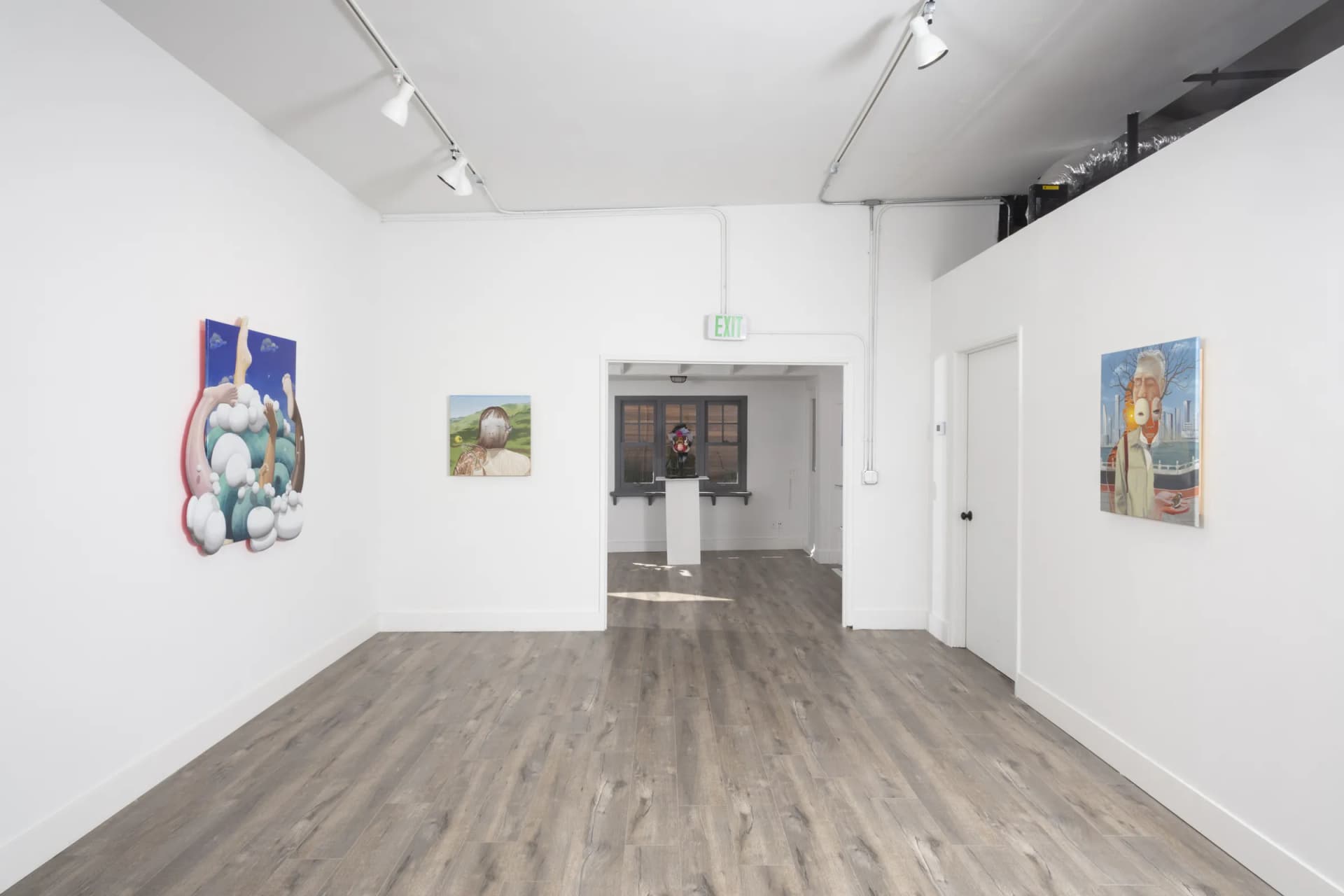 Installation View: Miguel Angel Payano Jr: Elusive NaturePhoto By Josh Schaedel