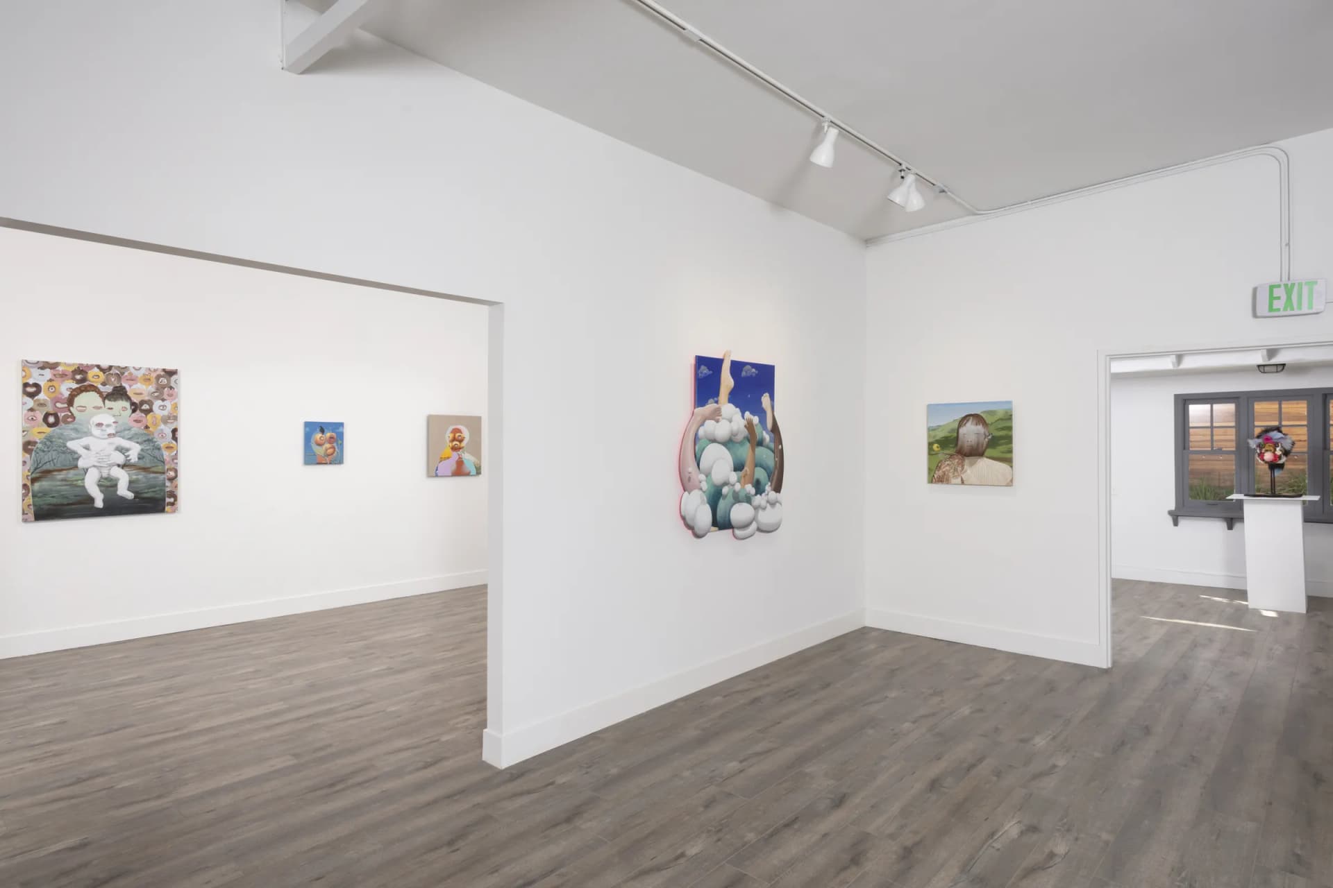 Installation View: Miguel Angel Payano Jr: Elusive NaturePhoto By Josh Schaedel