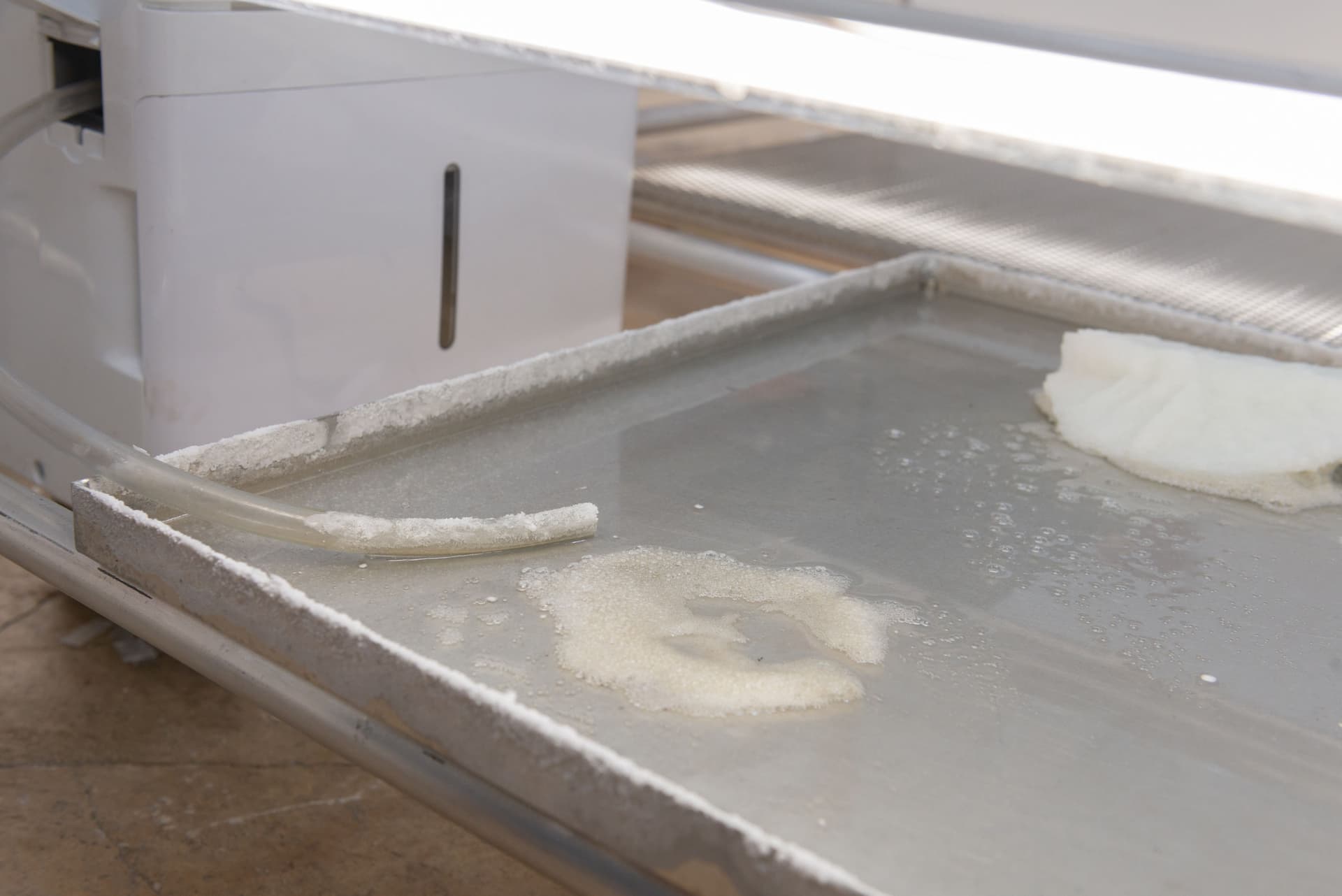 Installation View, Badwater.