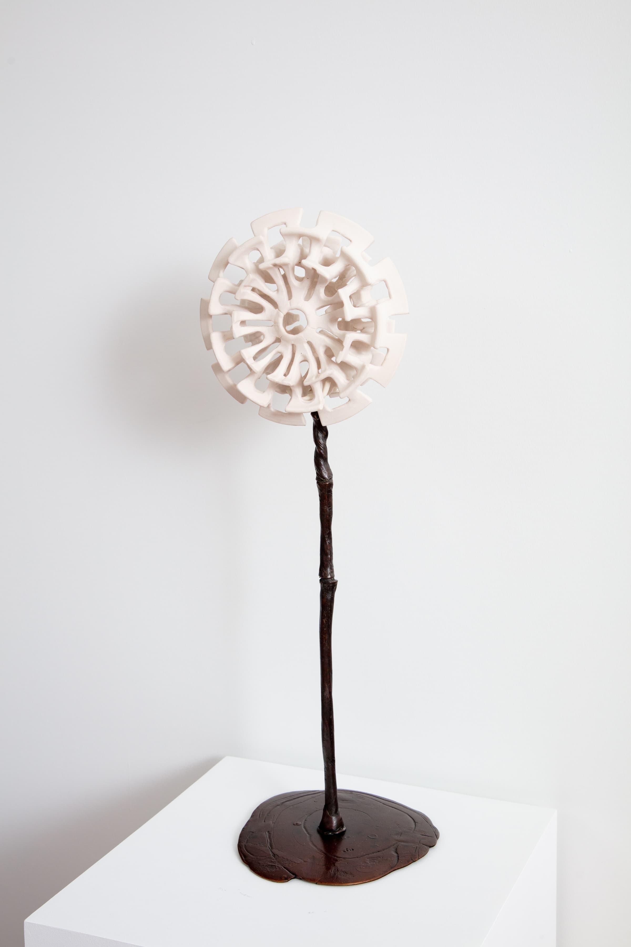 Yassi Mazandi, Flower 3