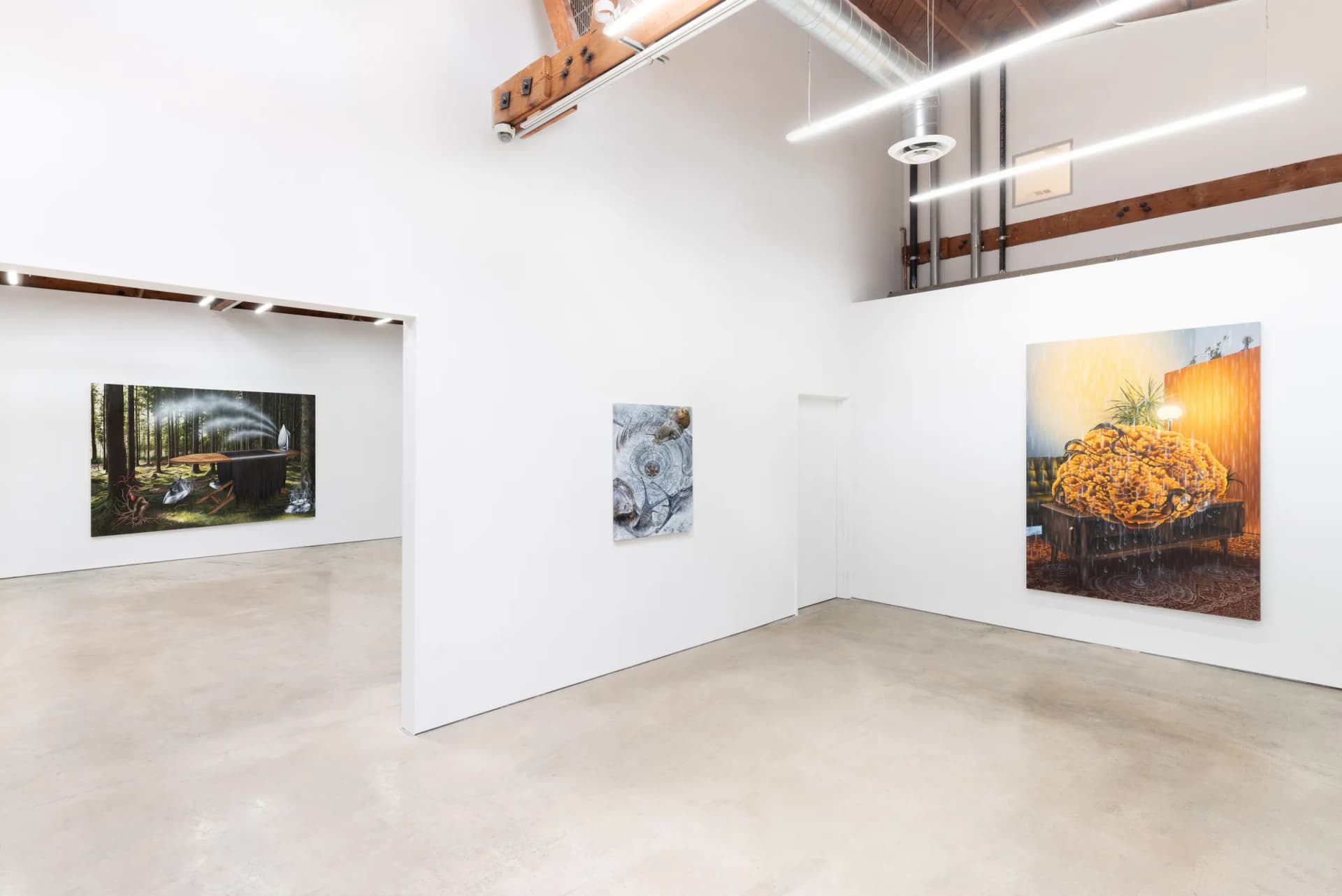 Swamps and Ashes — view 2