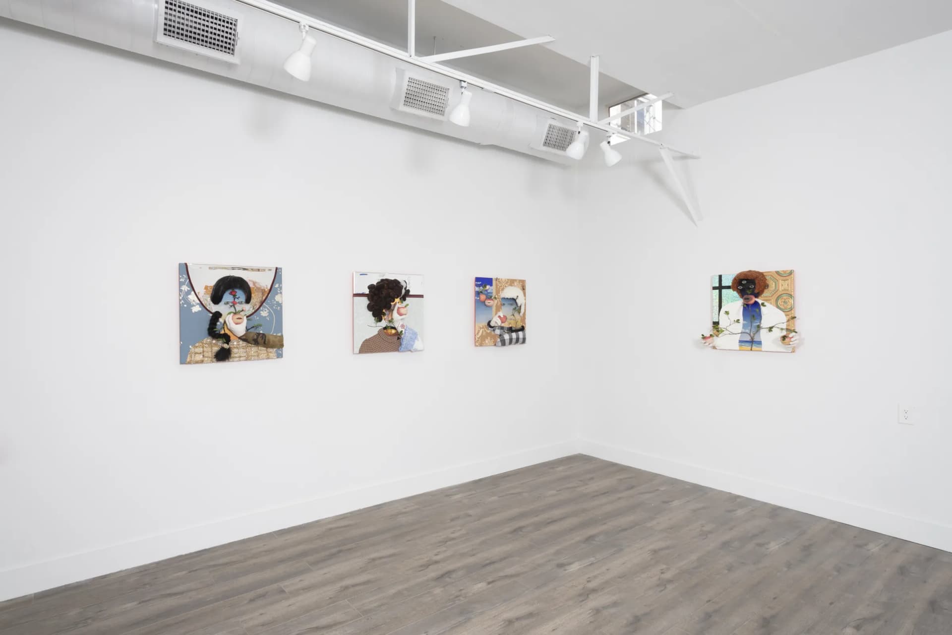 Installation View: Miguel Angel Payano Jr: Elusive NaturePhoto By Josh Schaedel