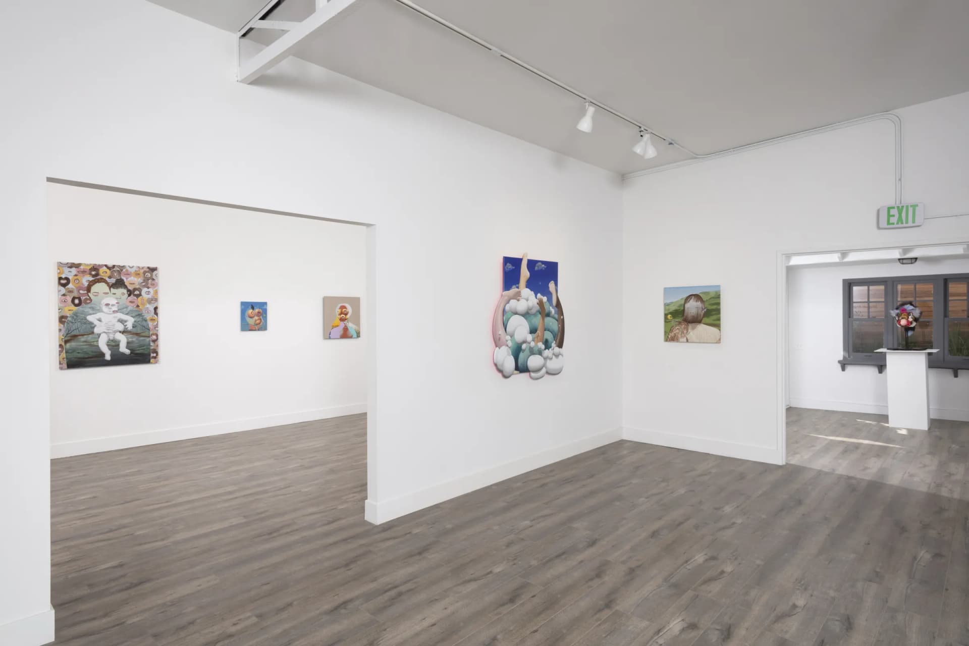Installation View: Miguel Angel Payano Jr: Elusive NaturePhoto By Josh Schaedel