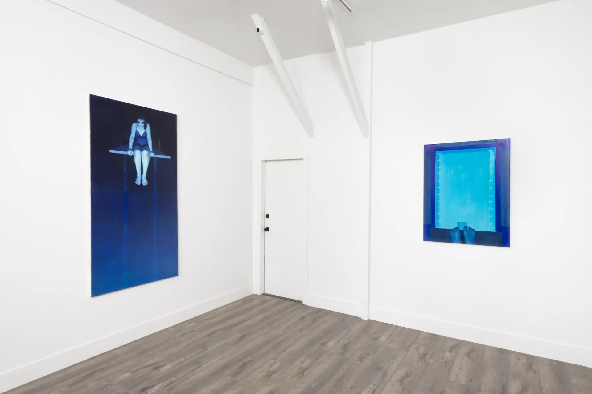 Installation View: Yuri Yuan: "The Great Swimmer"Photo By Josh Schaedel