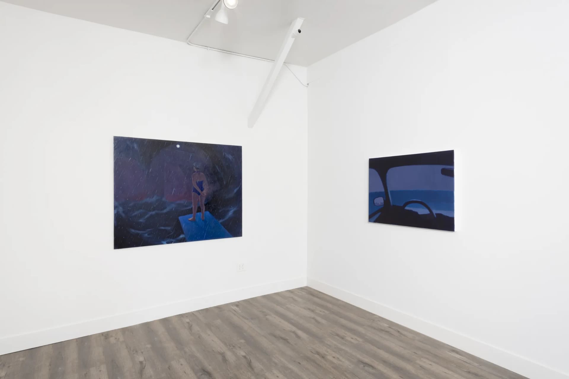 Installation View: Yuri Yuan: "The Great Swimmer"Photo By Josh Schaedel